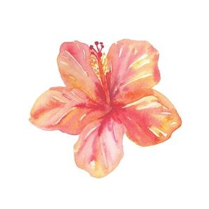 Meet your Posher, Babypieclosets